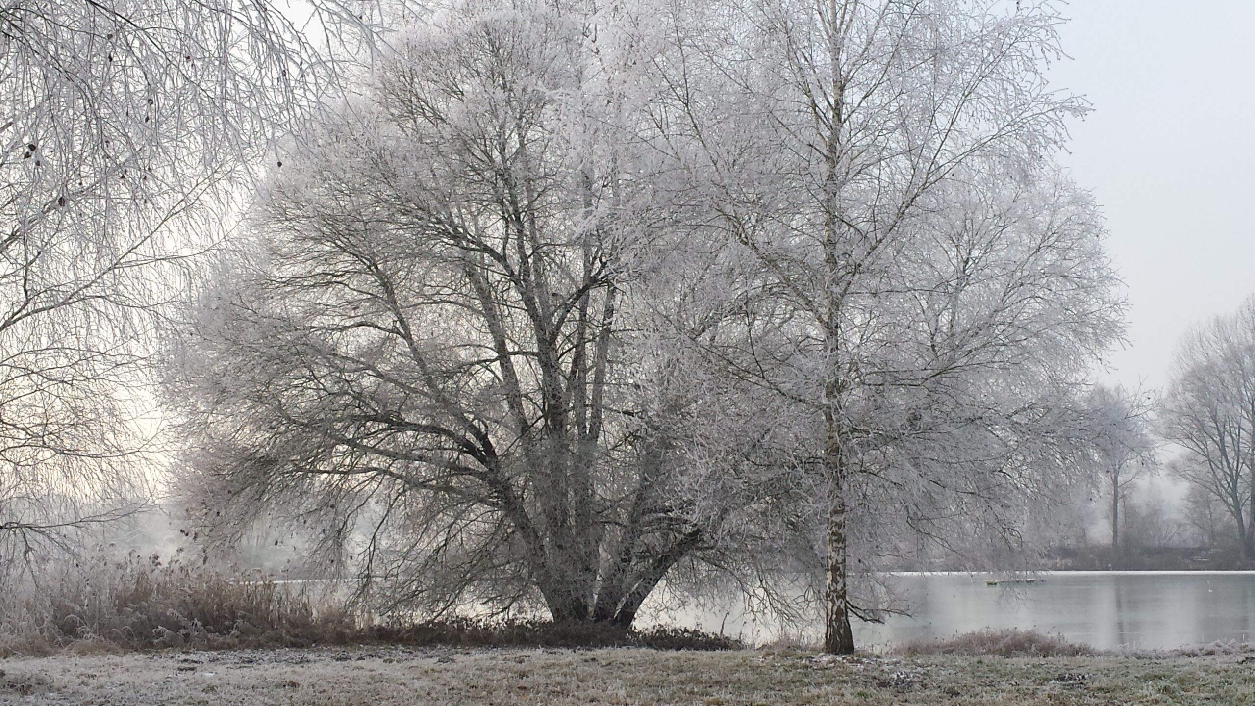 20170101_150512