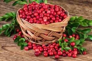 basket of cranberries